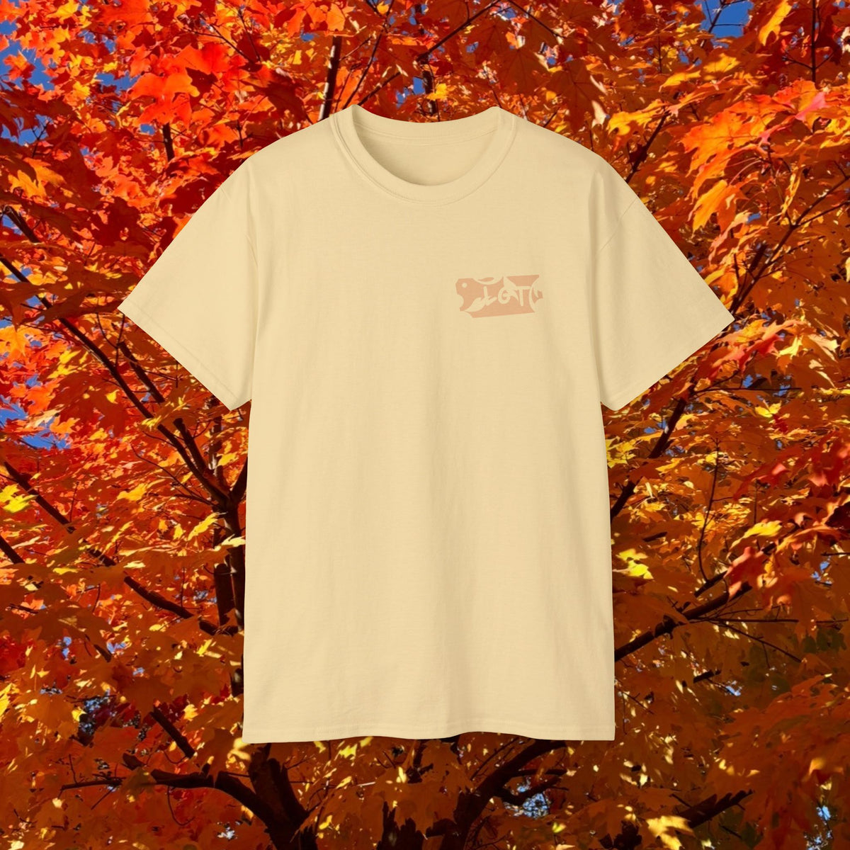 Proverbs 16:8 Tee