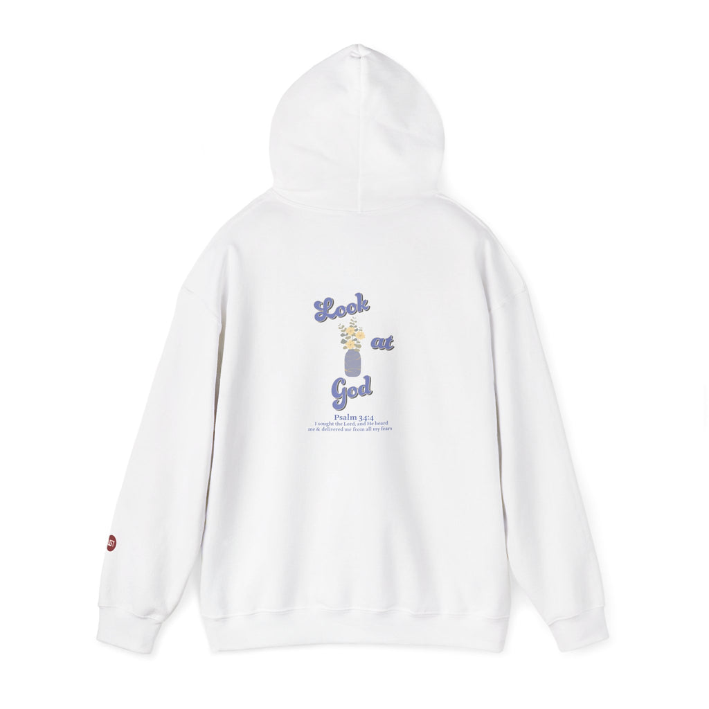 He Did This Good Thing Hoodie — "He Did This, He Can Do It Again" Faith Sweatshirt