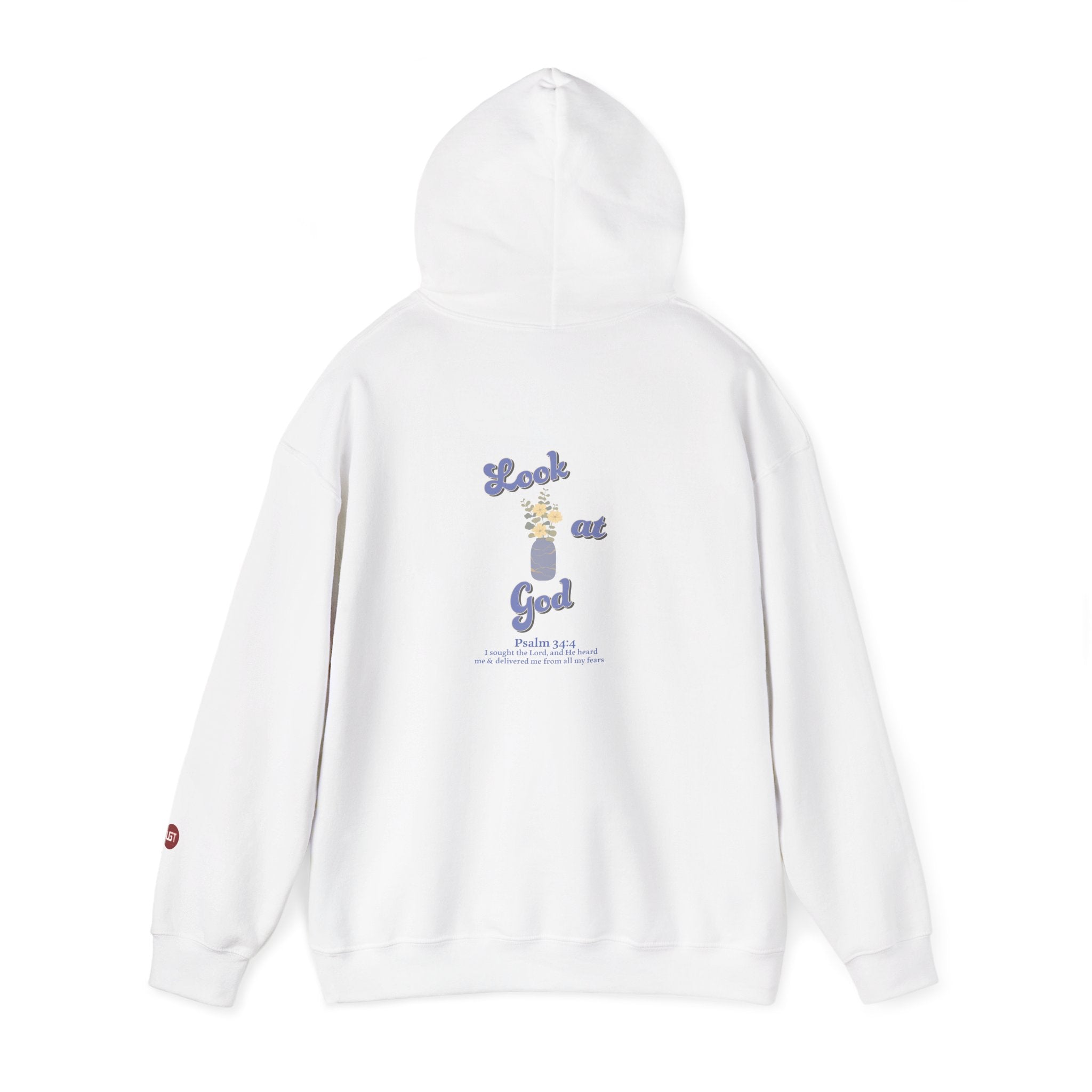 He Did This Good Thing Hoodie — "He Did This, He Can Do It Again" Faith Sweatshirt