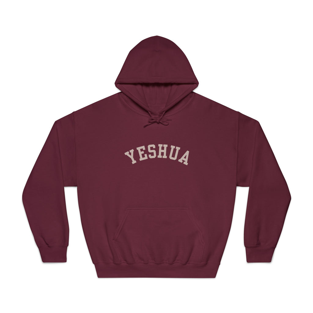 Yeshua Hooded Sweatshirt — 'My Only Constant in This Shifting World'